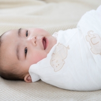 The World of Good | aden+anais organic muslin baby wraps